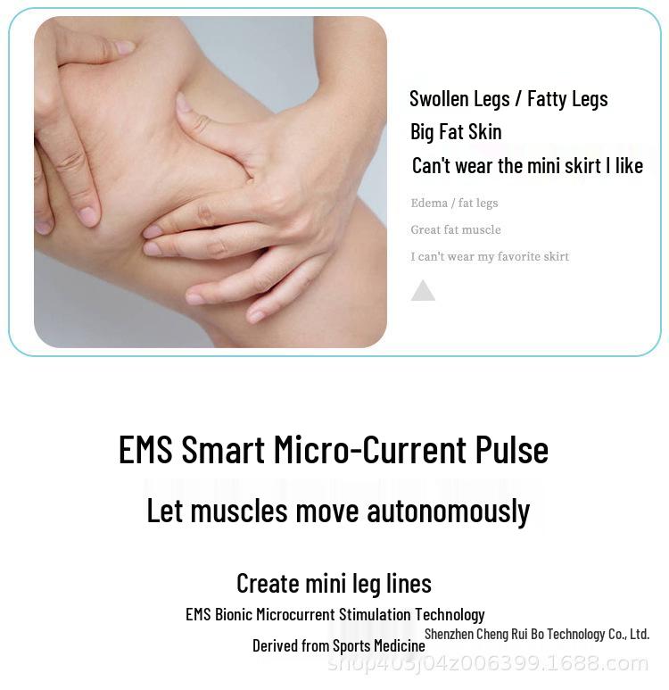 Japan EMS Pulse Leg & Foot Acupoint Massage Mat Therapy Machine