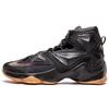 Кроссовки LeBron 13 Black Lion 807219-001