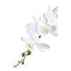 Orkidé art en bois hauteur 49cm vert, blanc.