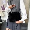 Autumn and Winter New Furry Bag Fur Crossbody Shoulder Strap Plush Bag Versatile Large Capacity Handbag for Women