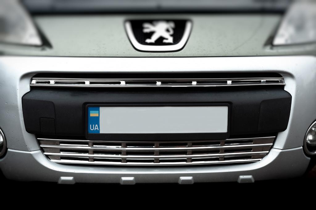 Накладки на решетку (2 част., нерж.) Carmos - Турецкая сталь для Peugeot Partner Tepee 2008-2018 гг