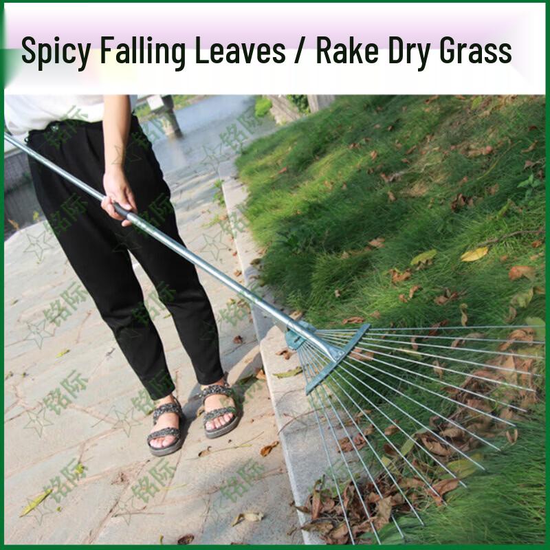 Telescopic Steel Wire Garden Rake
