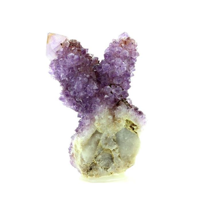 Pierres et Minéraux. Améthyste Cactus. 697.4 ct. Boekenhoutshoek, Mkobola, Afrique du Sud.