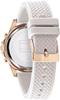 Women's watch TOMMY HILFIGER 1782199 HAVEN (zf539b)