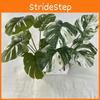 Monstera Leaf Realistic 7 Heads Greenery For Wedding Party Gifts Decor