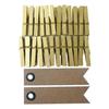 24 Mini Gold Clothespins + 20 Pennant Kraft Labels