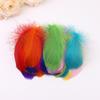 100pcs Natural Swan Feather Plume 7-12cm Dream Catcher Feathers Goose Feathers  for DIY Craft