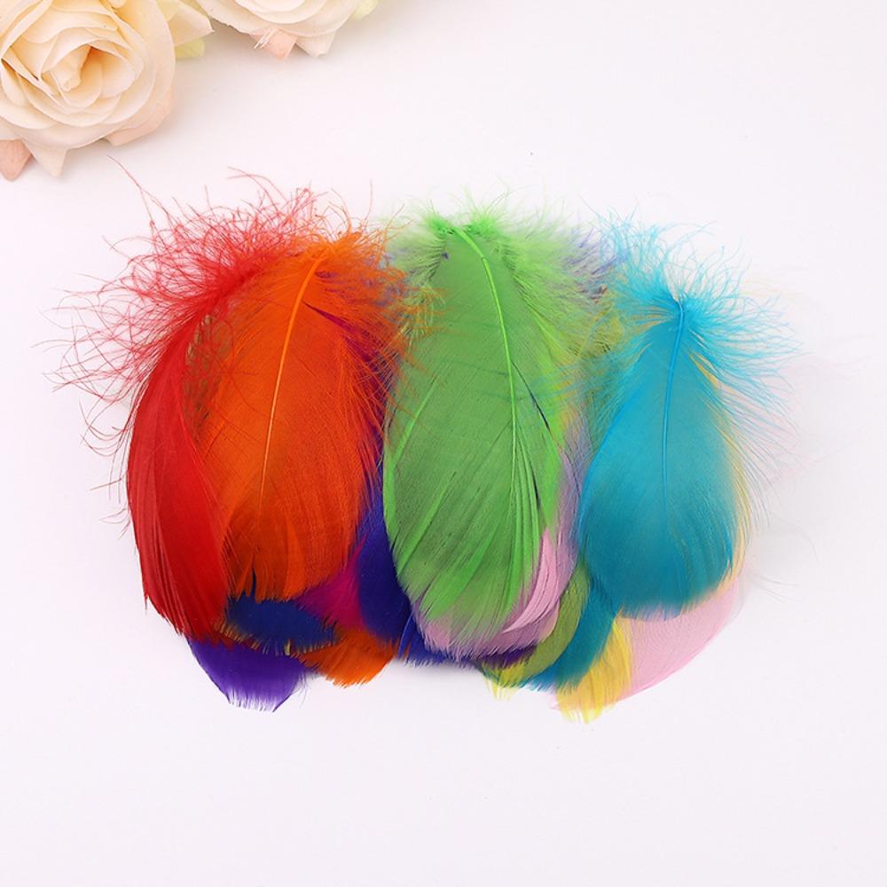 100pcs Natural Swan Feather Plume 7-12cm Dream Catcher Feathers Goose Feathers for DIY Craft