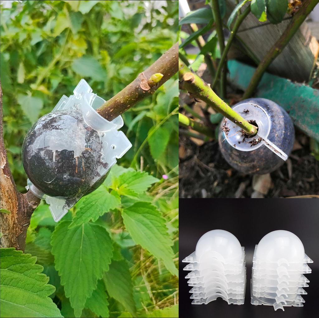 5cm-12cm Black Fruit Plant Tree Rooting Ball Root Box Plastic Breeding Case Propagation Grafting Rooter Growing High-pressure