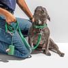 Prevent Burst Walking Dog Leash Diagonal Span Medium and Small Dog Vest Type Chest Strap Does Not Restrain the Hand Dog Pet Dog