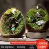 Creative Egg-Shaped Glass Terrarium for Succulents and Moss