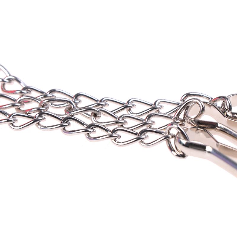 Попугай, птица, корелла, колокольчик, качели, шарик, подвесная клетка, игрушка, товары для домашних животных