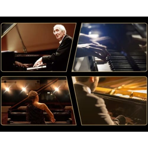 TradeWind Piano Finger Guard, Lid Stopper, Opening and Closing Aid, Finger Pinch Prevention, Key Absorber for Upright Pianos and Digital Pianos