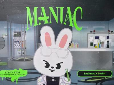 Плюшевый наряд SKZOO для Stray Kids, версия Maniac, Ribbit (Неоткрытый) Использовал