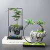 Чисто ручная работа, суккулентные цветочные горшки, Rich Tree, бонсай, рис, бамбук для помещений, плавающий остров, подвесное железо, микроландшафтный ба