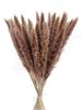 109 шт. Натуральные помпы, сушеные цветы, букет из пампасной травы с хвостиками кролика для домашнего декора в стиле бохо, свадебная цветочная композиция, деревенская вечеринка в фермерском доме