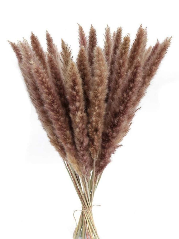 109 шт. Натуральные помпы, сушеные цветы, букет из пампасной травы с хвостиками кролика для домашнего декора в стиле бохо, свадебная цветочная композиция, деревенская вечеринка в фермерском доме