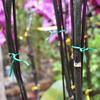 Garden Plant Ties Flexible Wire Design Weather-Resistant Vegetable Tomato Twist Ties Climbing Plants Support Ties