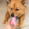 POSKOU Promotional Neutral Silicone Durable Chew-Resistant Teething Bone Shape UV Printed Pet Dog Toy