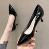 Korean Style Solid Color Fairy Style High Heels  Spring New Pointed Toe Stiletto High Heel Shoes Women