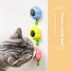 Catnip Balls, Cat Toys, Self-entertainment, Teasing Cats, Pets To Relieve Boredom, Cat Teasing Sticks, Kitten Teething Sticks, Licking Toys
