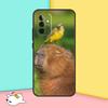 Смешной Чехол Капибара для Samsung Galaxy A16 A06 A26 A36 A56 A53 A32 A52 A33 A13 A55 A35 A15 A14 A34 A54 A17