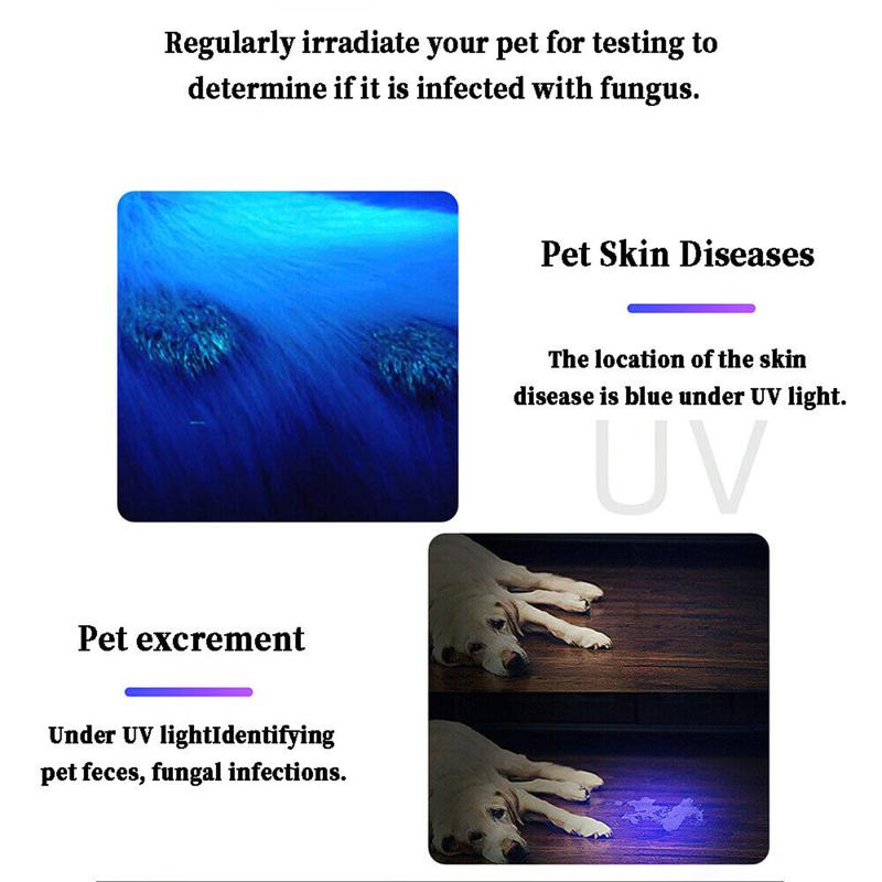 USB-светильник для кошек, 5 Вт, профессиональный, водонепроницаемый, перезаряжаемый, из нержавеющей стали, 365 УФ, от грибка для домашних животных