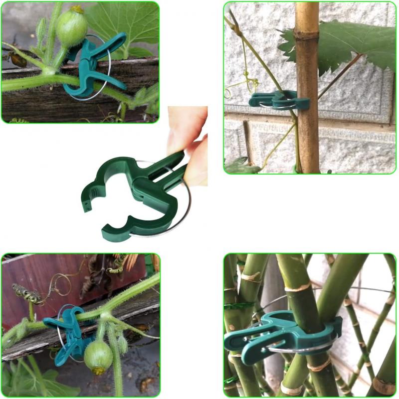 1/5/10/20Pcs Plant Fixed Clips Reusable Garden Bracket for Fixed Plants Vine Flower Seedling Tomatoes Support Garden Supplies Garden Tools