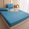 Waterproof Fitted Sheet Breathable Anti-Bacteria Solid Color Modern Mattress Cover Urine Double Bedspread Sheets Bed Set