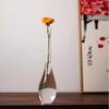 Japanese Style Glass Vase, Transparent Hydrophilic Flowerpot, Plant Home Decoration, Zen Inspired Guanyin Vase
