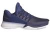 Харден Вол. 1 Adidas 'Legend Ink' AH2120