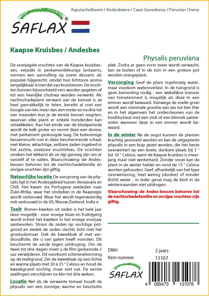 SAFLAX Капский крыжовник / Перуанская вишня - 100 семян - Physalis peruviana