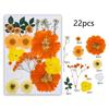 495Piece Dried Flower Craft Set Including Pressed Blooms and Butterfly Stickers for Resin Art and Journal Decorating