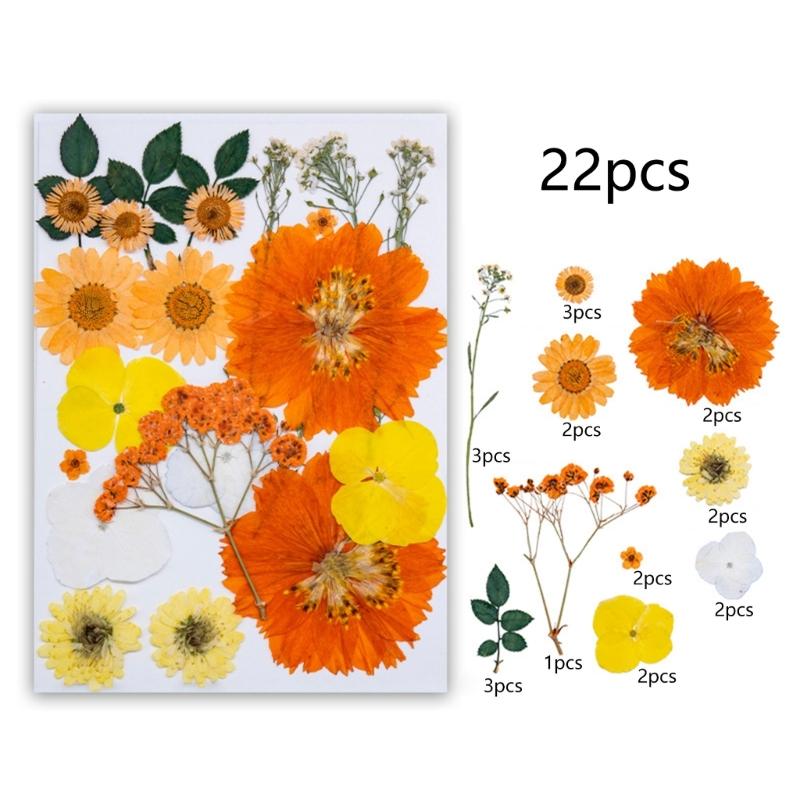 495Piece Dried Flower Craft Set Including Pressed Blooms and Butterfly Stickers for Resin Art and Journal Decorating