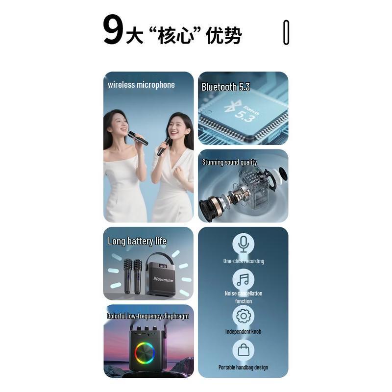 Портативная Bluetooth-колонка для караоке Newmine K519, штекер CN (адаптер в комплекте)