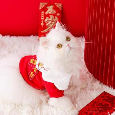NewYea одежда для кошек воротник-лепесток праздничные новогодние поздравления тонкий бархатный свитер китайский Новый год щенки котята теплая одежда для питомцев осень и зима