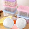 Frozen Meat Preservation Box Refrigerator Food Retain Freshness Transparent Storage Jar Home Kitchen Vegetable Storage Organizer