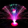 Flashing Holiday Home Decor LED Fiber Optic Light Christmas Decoration Night Lamp Multicolor