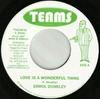 7inch Record ERROL DUNKLEY / HORACE GROSSETT - Love Is A Wonderful Thing / Keep On NONE Teams 2007 Jamaica Reggae, Ska & Dub Used