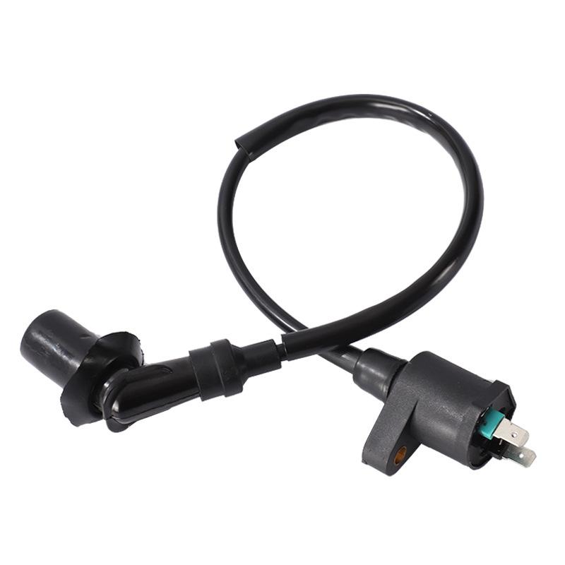 Катушка зажигания для мотоцикла для двигателя Trx300 Gy6 50Cc 125Cc Мотоцикл Мотоцикл для бездорожья Скутер Мопед Высокая производительность