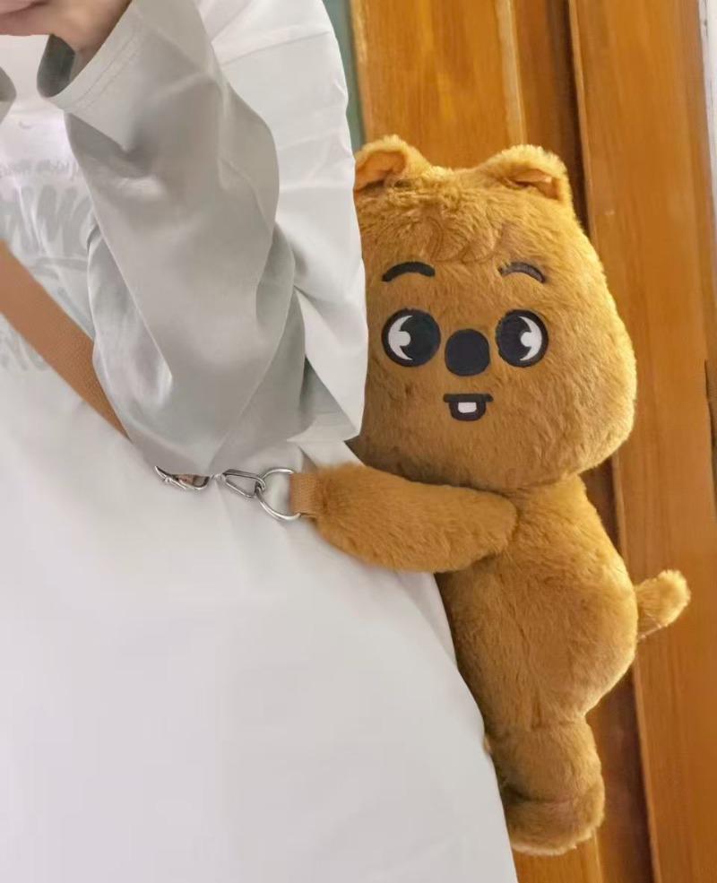 New Plush Animal Doll Crossarm Bag Anke Pop up Week SKZ Fans K-pop Birthday Gift Children Adult Gift Decoration