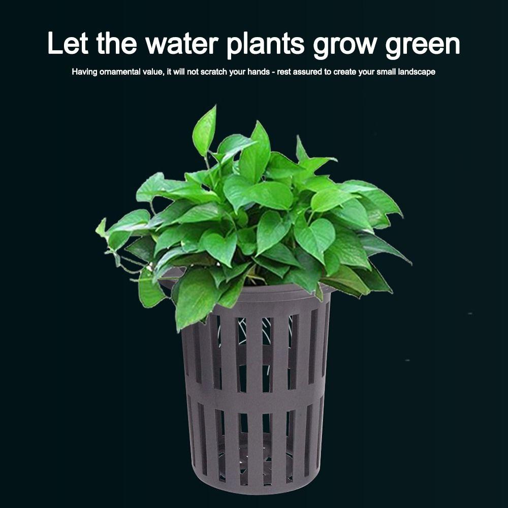 Водное растение ландшафт аквариум гидропонная посадочная корзина посаженный аквариум аквариум чашка для растений
