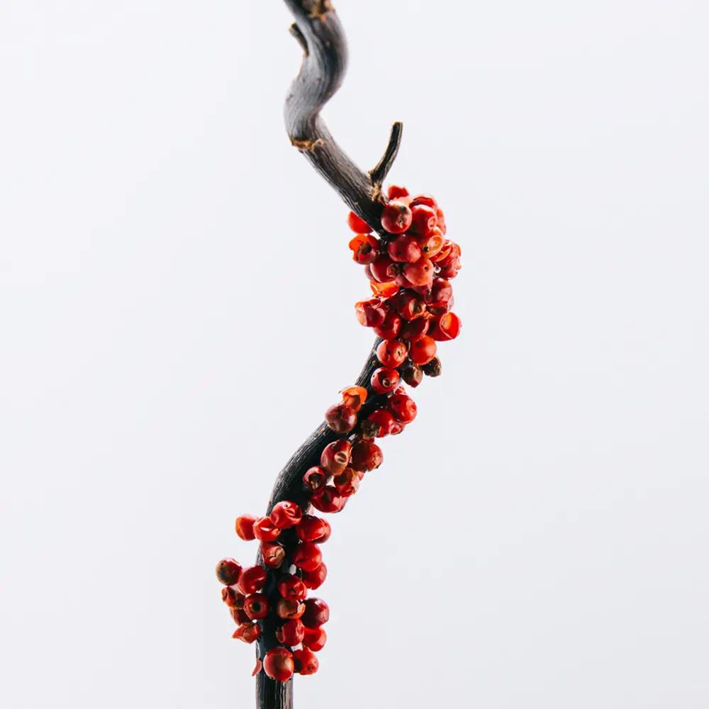 Eau de Toilette Loewe 7 - 50 ml