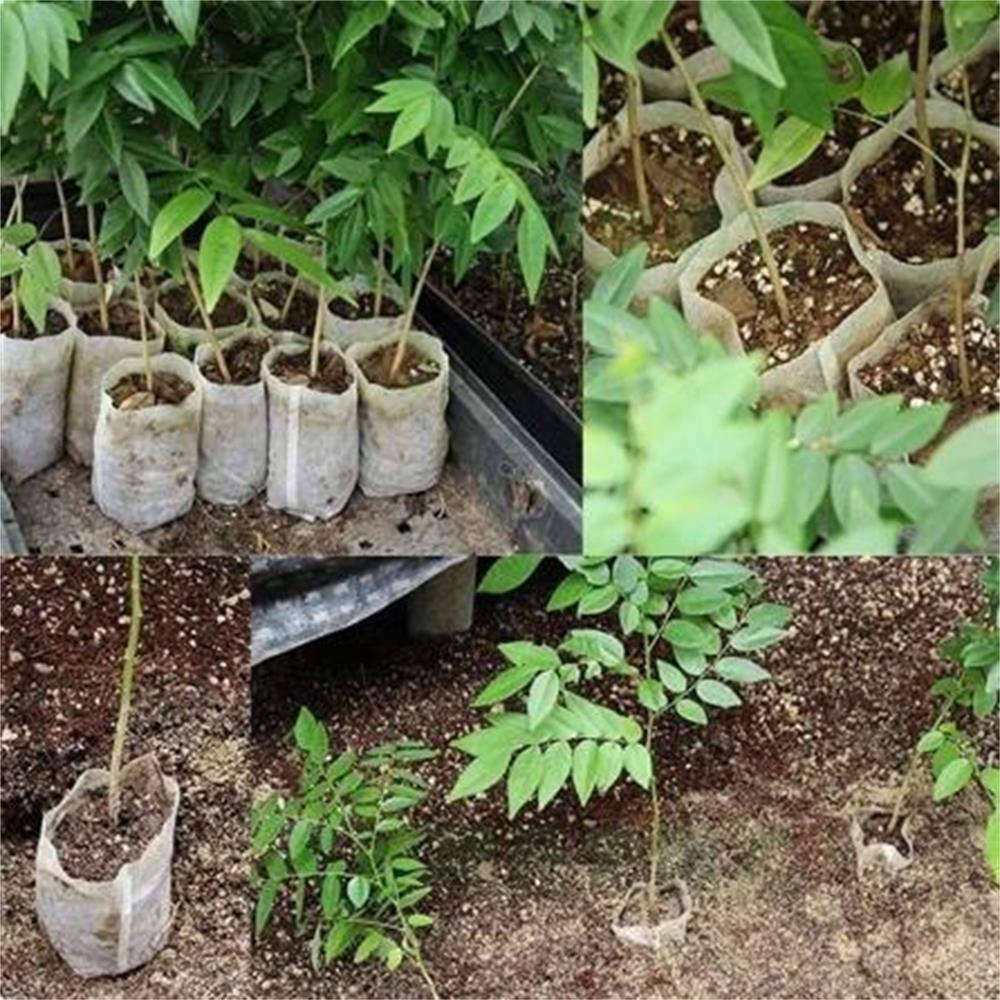100 шт. биоразлагаемые детские сумки для выращивания растений, сумки из нетканого материала, семена для посева цветочных горшков для дома, сада, аксессуары, инструменты