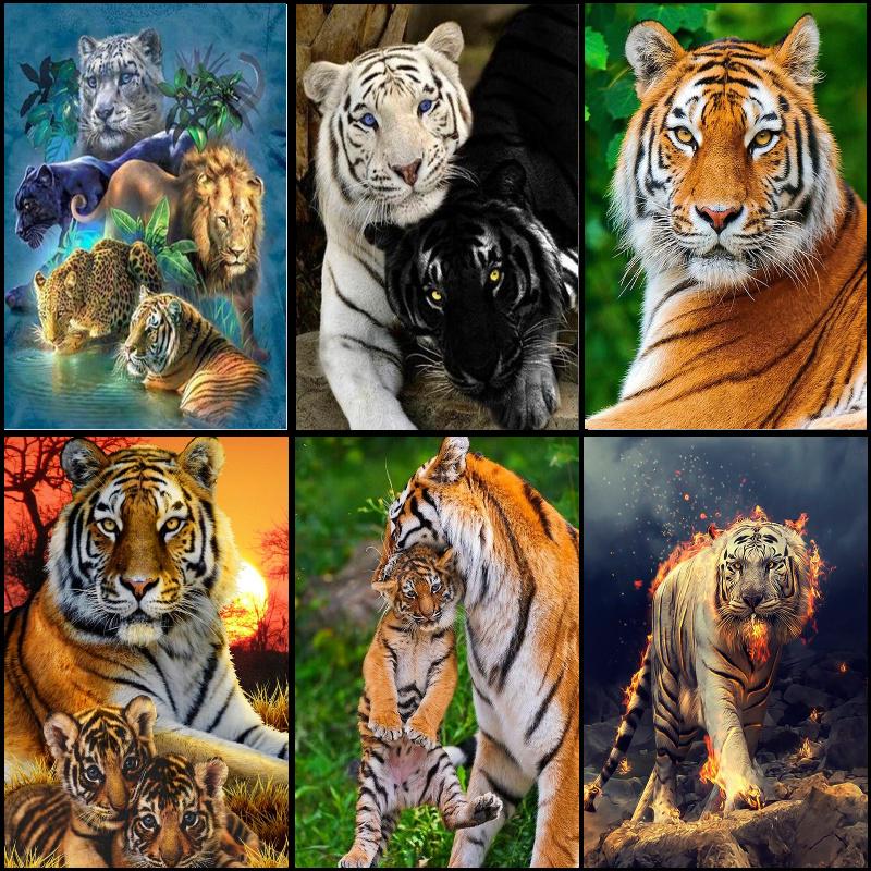 Тигр Аниме Мода 5d-Алмазная картина аксессуары 40x50 см Diamond Art