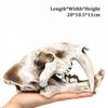Simulation Resin Dinosaur Skull Ornaments Diy Aquarium Fish Tank Decoration