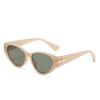 Retro cat eye retro sunglasses men and women b personality jelly color Internet celebrity European and American ins sunglasses women