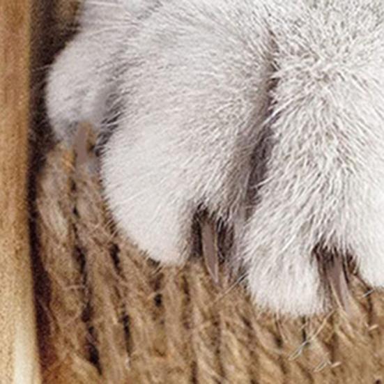 Лестницы для кошек, по которым можно подняться в клетку, покрытые сизалем и пенькой, когтеточки для домашних животных, насест для мебели, полка для клетки, лестница с установочными винтами