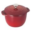Staub Cocotte De GOHAN Cherry M Paint Finish Rice Pot Rice Cooker 2 Cup Cast Enamel IH Compatible Rice Cooker Japanese La Cocotte De GOHAN Red