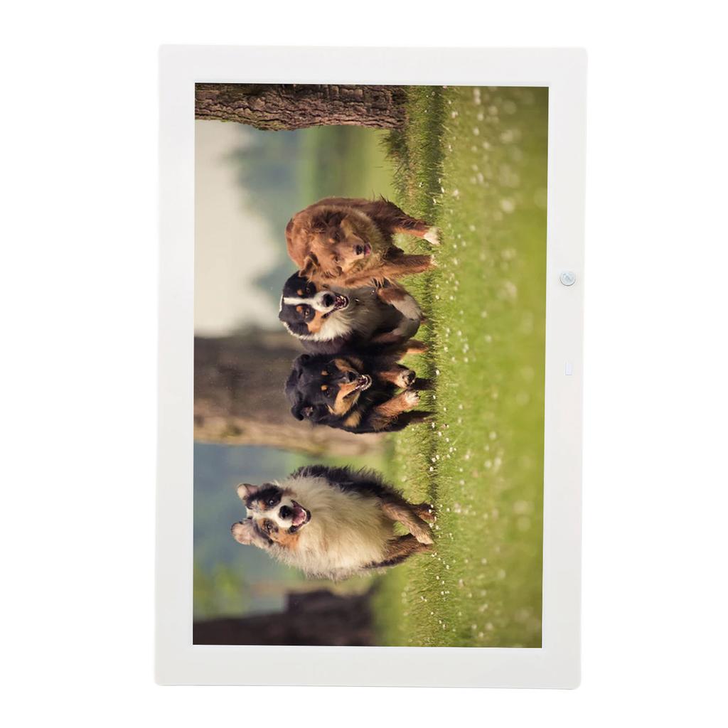 Digital Photo Frame 1080P Electronic Photo Frame Support Intelligent Remote Control 100‑240V 17in